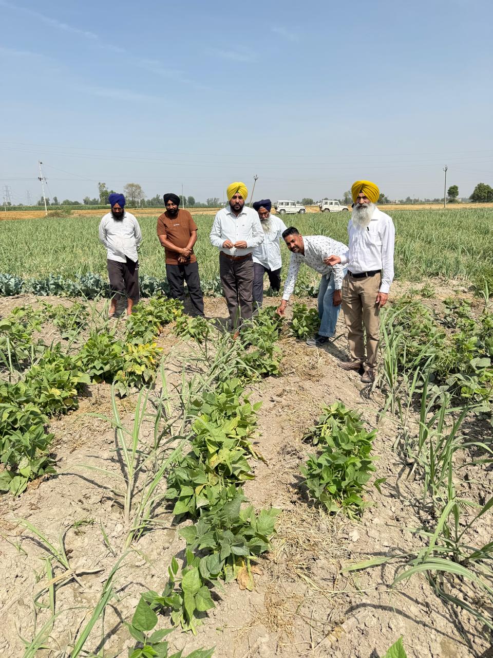 गांवों में नुक्कड़ मीटिंगें; गन्ना किसानों को गन्ने की फसल में खादों का संतुलित उपयोग करने के लिए जागरूक किया