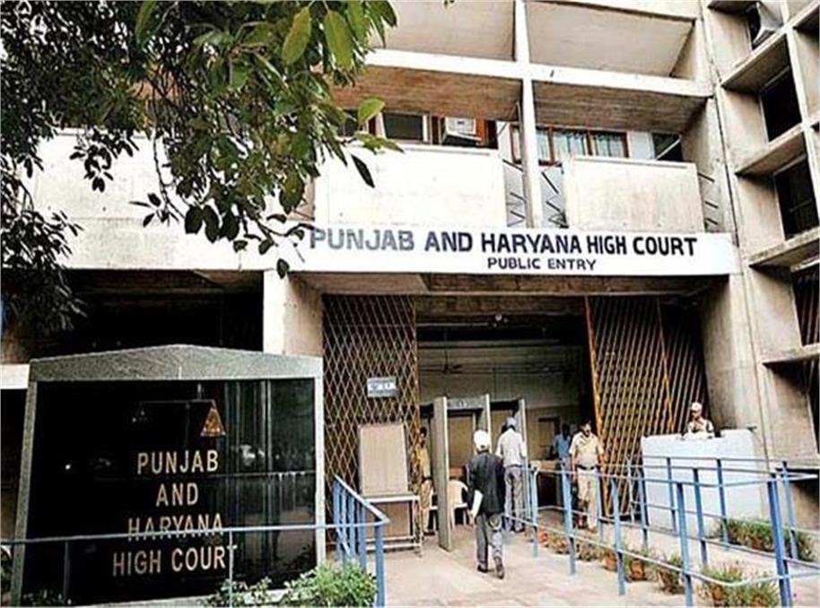 तत्काल खतरे का सबूत न होने पर ही हथियार लाइसेंस रद्द नहीं किया जा सकता: हाईकोर्ट