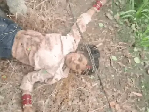 लवमैरिज से नाराज परिजन ने की बेटी की हत्या : बठिंडा से फरीदकोट के गुरुद्वारे में मिलने बुलाया, रास्ते में घेरा, तेजधार हथियार से काटा