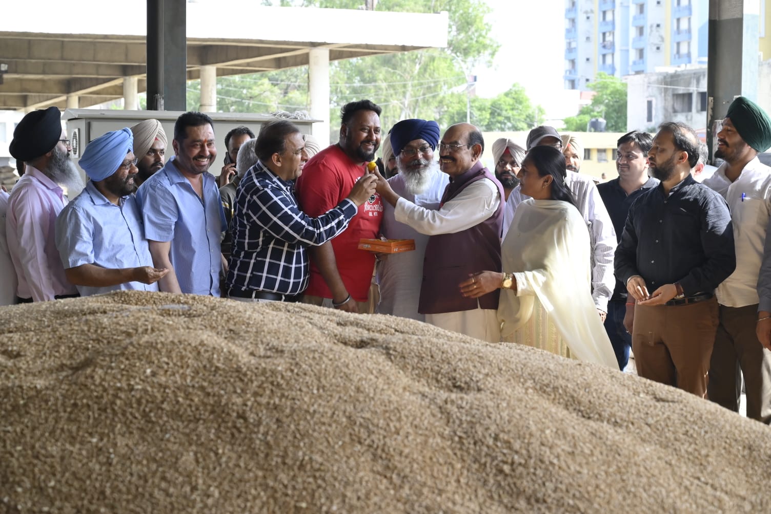 जालंधर की 79 मंडियों में 5.27 लाख मीट्रिक टन गेहूं आने की संभावना